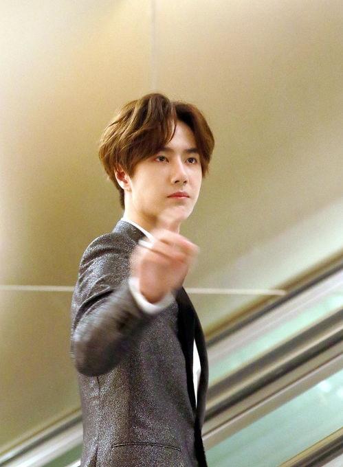 娱乐圈十条爆料,揭秘明星背后的秘密与真相